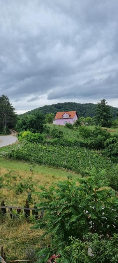 Kod Slaveka Apartman Kostanjevac Kültér fotó