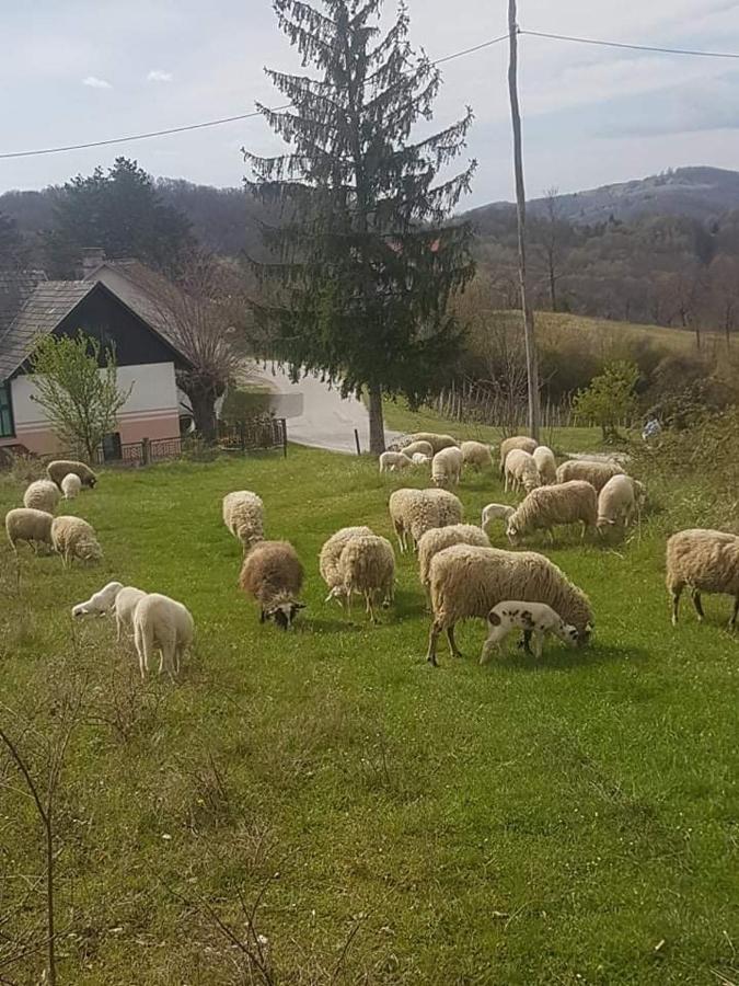 Kod Slaveka Apartman Kostanjevac Kültér fotó